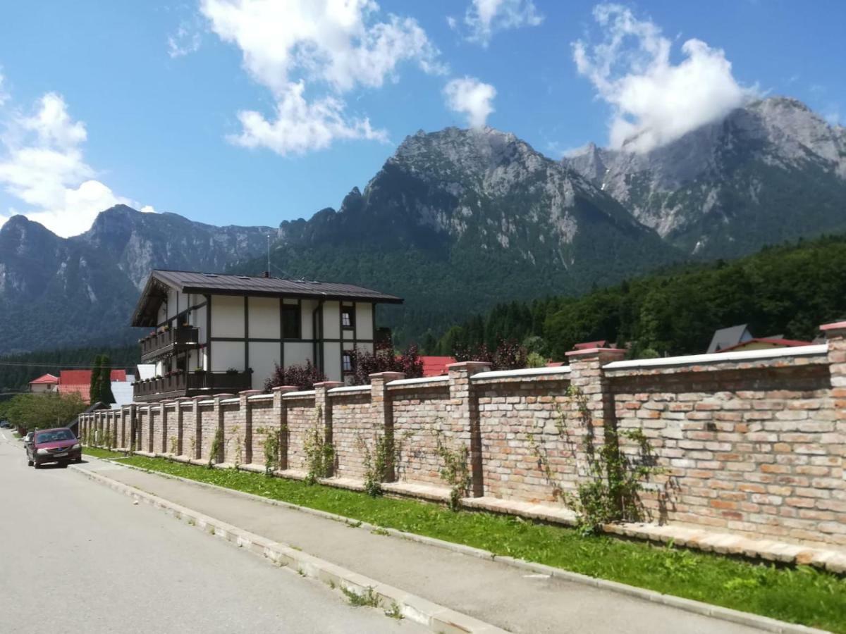 Vila Norbe Busteni Bagian luar foto